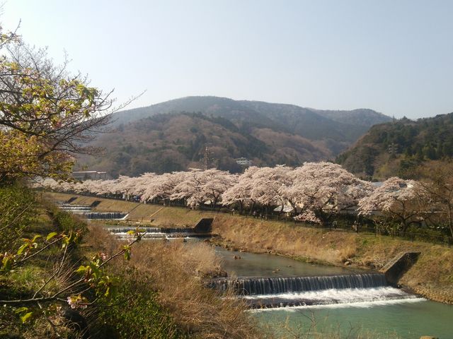 endatsű{쑁@؂̓eʐ^1