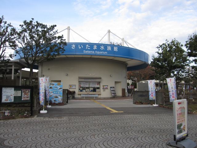 2016N1126BejWWucܐفv_cܐ