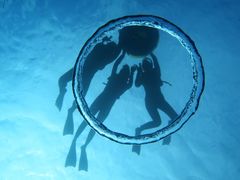 ` ꑍAEghAcA[X̎ʐ^1