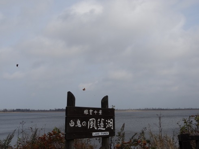 ���@��_���@��