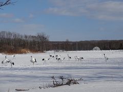 L̒ߋEɓ^`ETN`Aւ̓eʐ^2