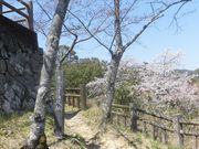 �ڂ肳��̏�R�����̍��E�c�c�W�̓��e�ʐ^2