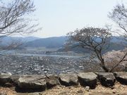 �ڂ肳��̏�R�����̍��E�c�c�W�̓��e�ʐ^3