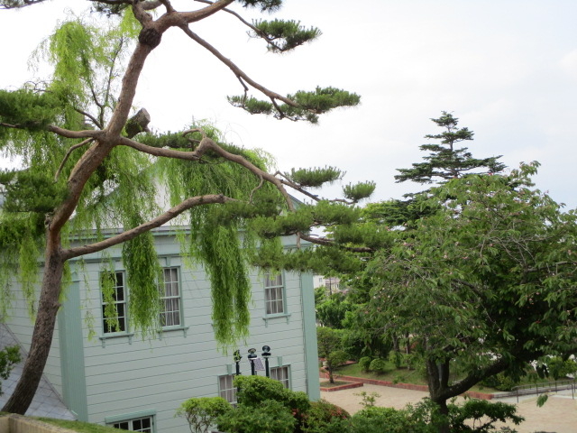 �����ڂɑN�₩_��������