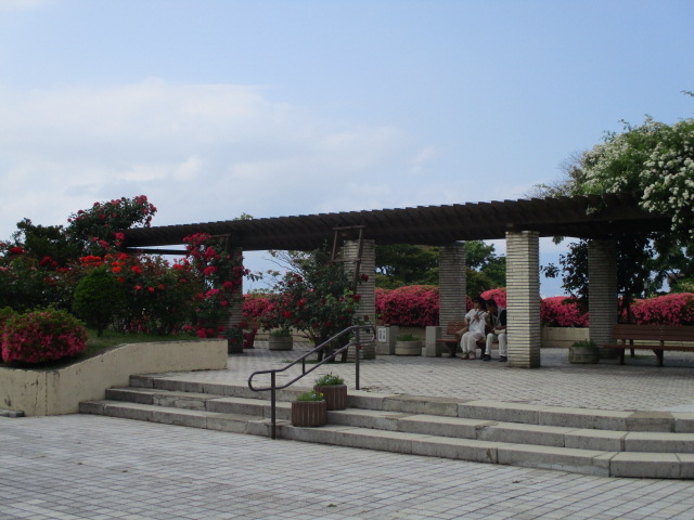 �o�����قږ��J_��������