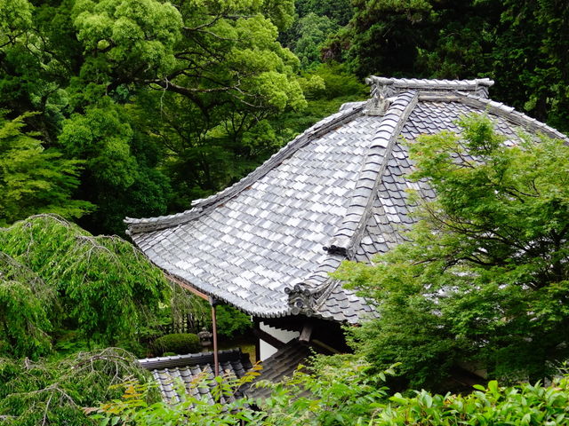 �\�֎�_�\�֎�