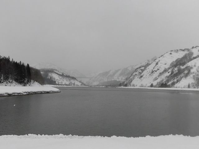 ��i�F_������