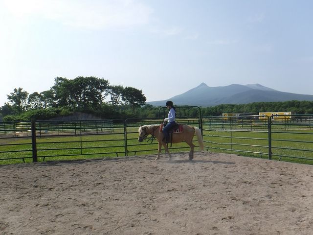 �m���m_������R�q��