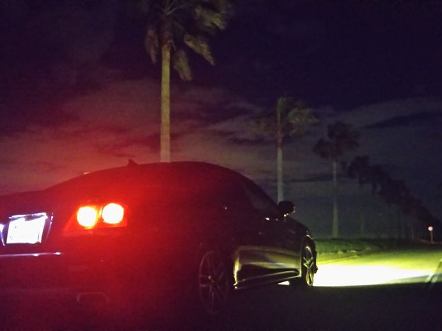 �����Y����_���P�Y����