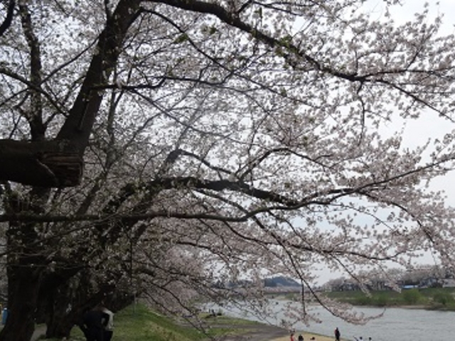 �O�ؓ����̍�����_�O�ؓ����̍�����