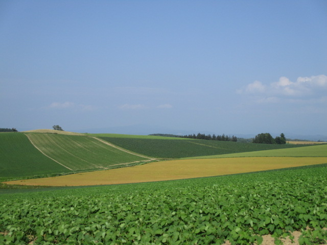 �������Ȃ�_�p�b�`���[�N�̘H