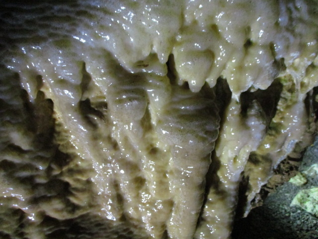 ���������Y��ł�_����������