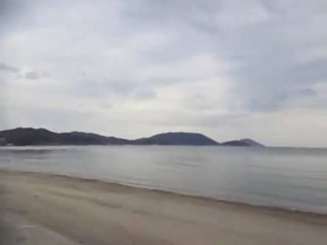 �L�X_�匴�C������