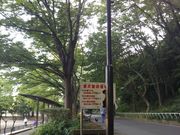 cJ擙X͂̏ZľÉ͌iÉ͑j̓eʐ^1