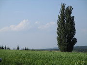 yosshỹPƃ[̖؂̓eʐ^2