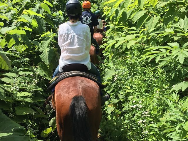 ΂ꂢɌ܂Bn݂ȂƂĂĊyłB_CNg[`