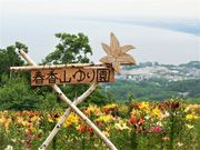 bird̃Xm[N[YI[Y̓eʐ^2