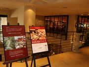 Wj[̃UEK[fnEX̓eʐ^1