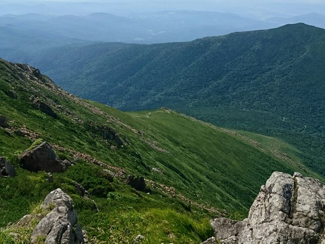 ���ォ��̒��߂��f���炵��_���r��R