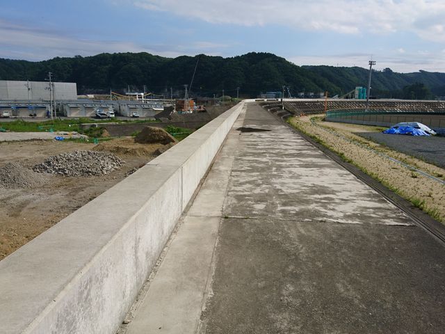 �傫��������h������܂���_�c�V�̖h�g��