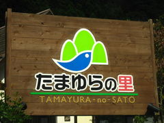 񂿂񂳂̂܂̗ւ̓eʐ^1