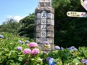 ܂܂̍R̃AWTC̓eʐ^1