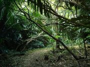 ͂邦̐Ñ̐XV̓eʐ^1