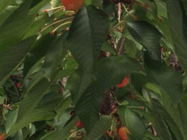 �Â���������_�咬�������ډ�