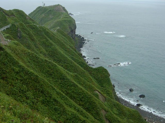 �����`���ɑ����f�R���_�_�Ж�