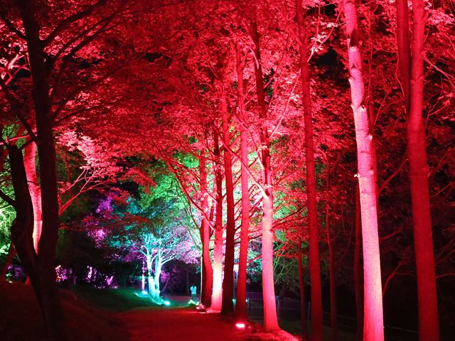 ���N�̉ẴC�x���g_�Ƃ������