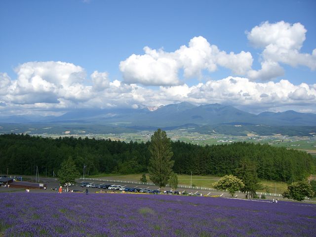 �G�]�����T�L_�ʍ��̗� ���X�؃t�@�[��