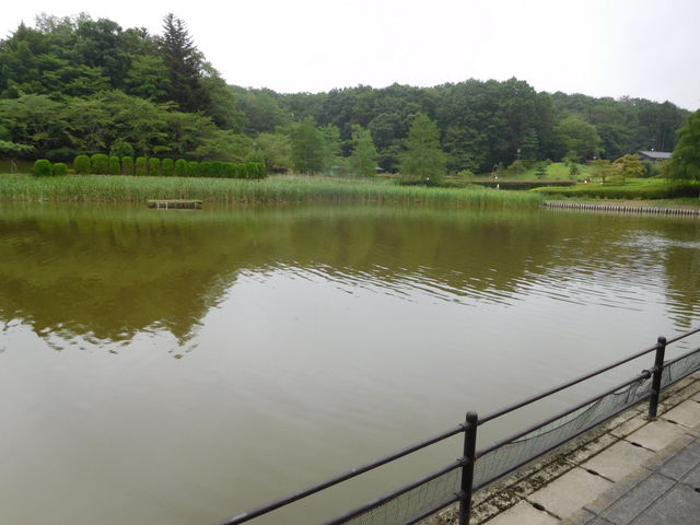 池です。のどかで良いですね。_亘理公園