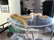 ec̍ÁiV_j֎ق̓eʐ^3