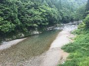 �݂�ǂ���̔n����k���̓��e�ʐ^1