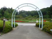 ̍X|[cp[N킽ijj̓eʐ^2