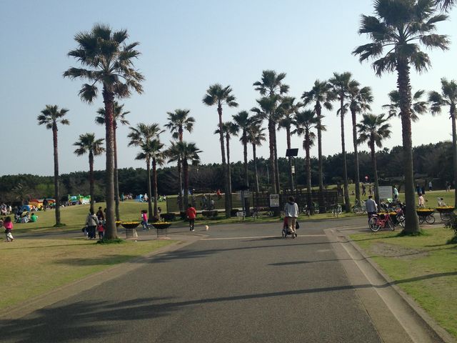 ������Ƀ��V�̖�_�_�ސ쌧���ғ��C�l����