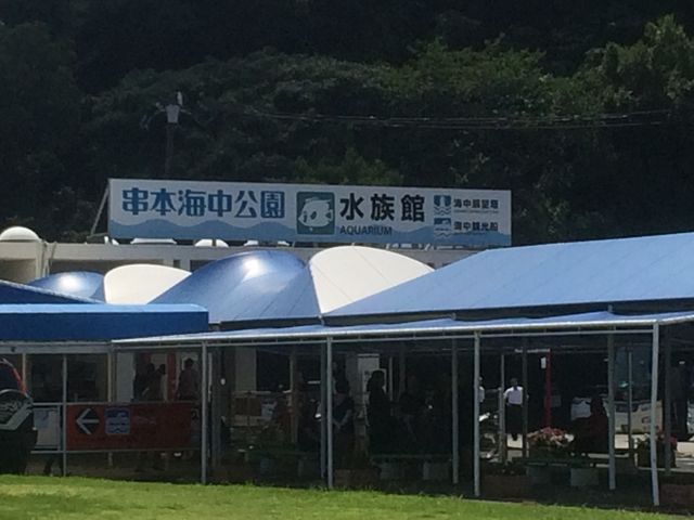 �����ٓ����_���{�C������