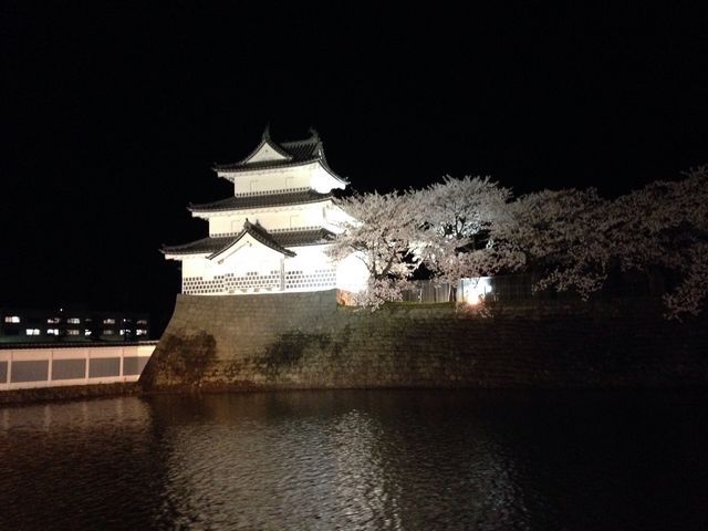 ���C�g�A�b�v���ǂ��ł��B_�V���c��