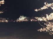 J[vDā̐Vc隬̓eʐ^1