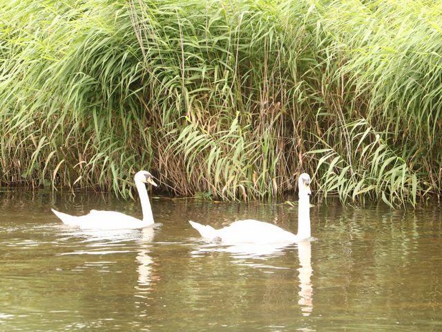 ̃Jbv͂߂Ō܂_GatewayTours