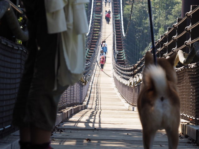 ̃uR_{̐XmǁEقEނ낢EȂ邩EEʂÊ݂݁E͂Eق育nn