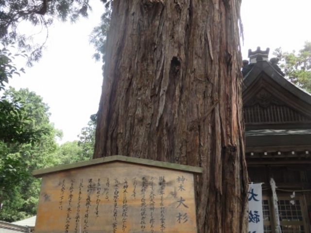 ���i_�ߍ]�����w�k���ό��ē���