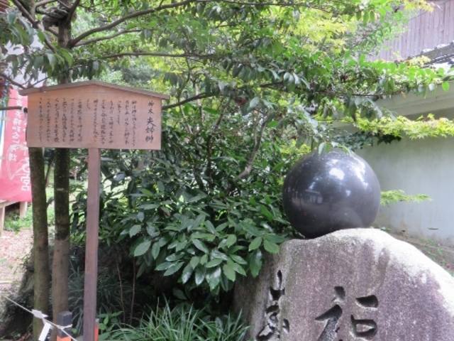 �i�F_�ߍ]�����w�k���ό��ē���