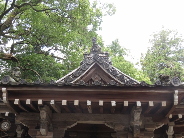 ����_�ߍ]�����w�k���ό��ē���