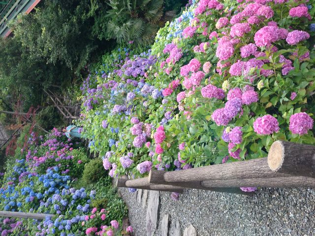 �A�W�T�C_�V�c�J����@�z�e�������狴