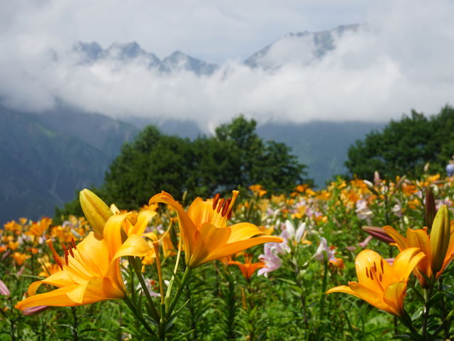 ���n��x����������_���n�x