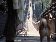 ݂̕{̐XmǁEقEނ낢EȂ邩EEʂÊ݂݁E͂Eق育nn̓eʐ^1