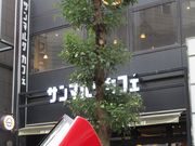 肷̃T}NJtF wX̓eʐ^1