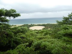 kimukimu7036̑K`Guiʕvւ̓eʐ^1