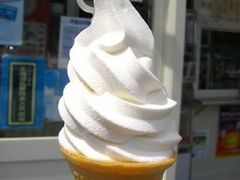 ���i����̎R��q��ւ̓��e�ʐ^1